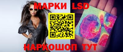 стафф Камышлов