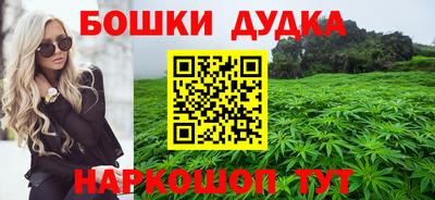 прущие крисы Кандалакша