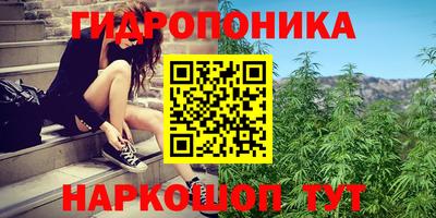 круглые Кимры