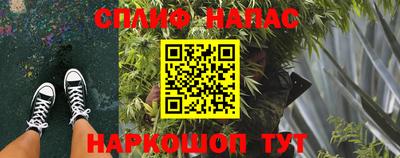 стафф Камышлов