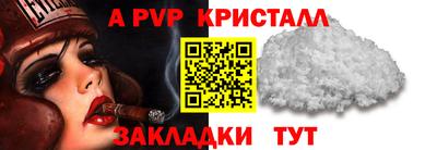 стафф Камышлов
