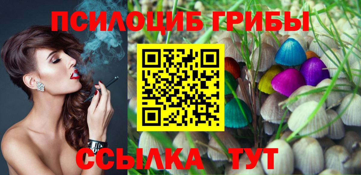 закладка  Вход с VPN  Алатырь  Галлюциногенные грибы ЛСД 